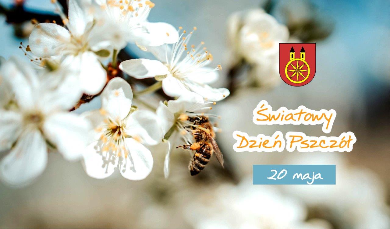 Plansza z napisem 20 MAJA Światowy Dzień Pszczół, na planszy pszczoła zapylająca kwiaty