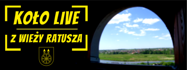 Koło LIVE z WIEŻY RATUSZA