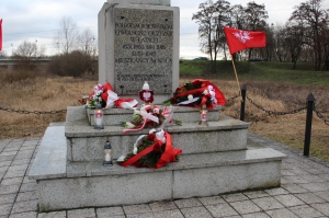 zdjęcie w galerii nr 43383