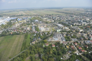 zdjęcie w galerii nr 266