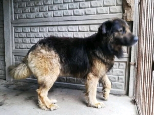 zdjęcie w galerii nr 43273