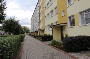 zdjęcie w galerii nr 43013