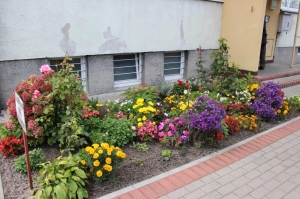 zdjęcie w galerii nr 43014