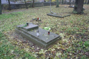 zdjęcie w galerii nr 43427