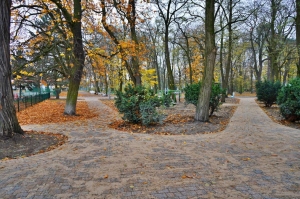 zdjęcie w galerii nr 43425