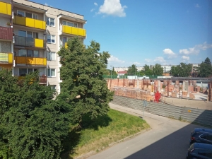 zdjęcie w galerii nr 43226