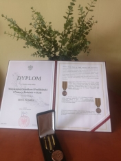 zdjęcie w galerii nr 43244