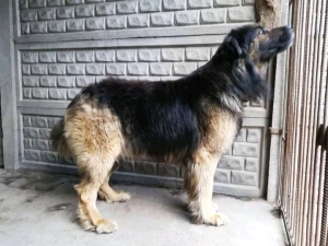 zdjęcie w galerii nr 43237