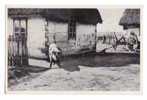 Gospodarstwo rolne. Nakł. Wydawnictwa Edyty Leipzig, Koło. Jej firma mieściła się przy ul. Sienkiewicza. Lata 1940–1945. Ze zbiorów Muzeum Technik Ceramicznych w Kole.