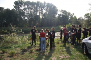 zdjęcie w galerii nr 42956