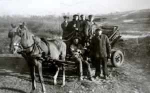 zdjęcie w galerii nr 43404