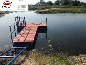 zdjęcie w galerii nr 42872