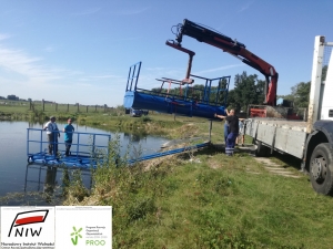 zdjęcie w galerii nr 42873
