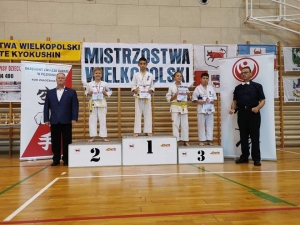 zdjęcie w galerii nr 42981