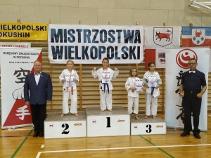 zdjęcie w galerii nr 42986