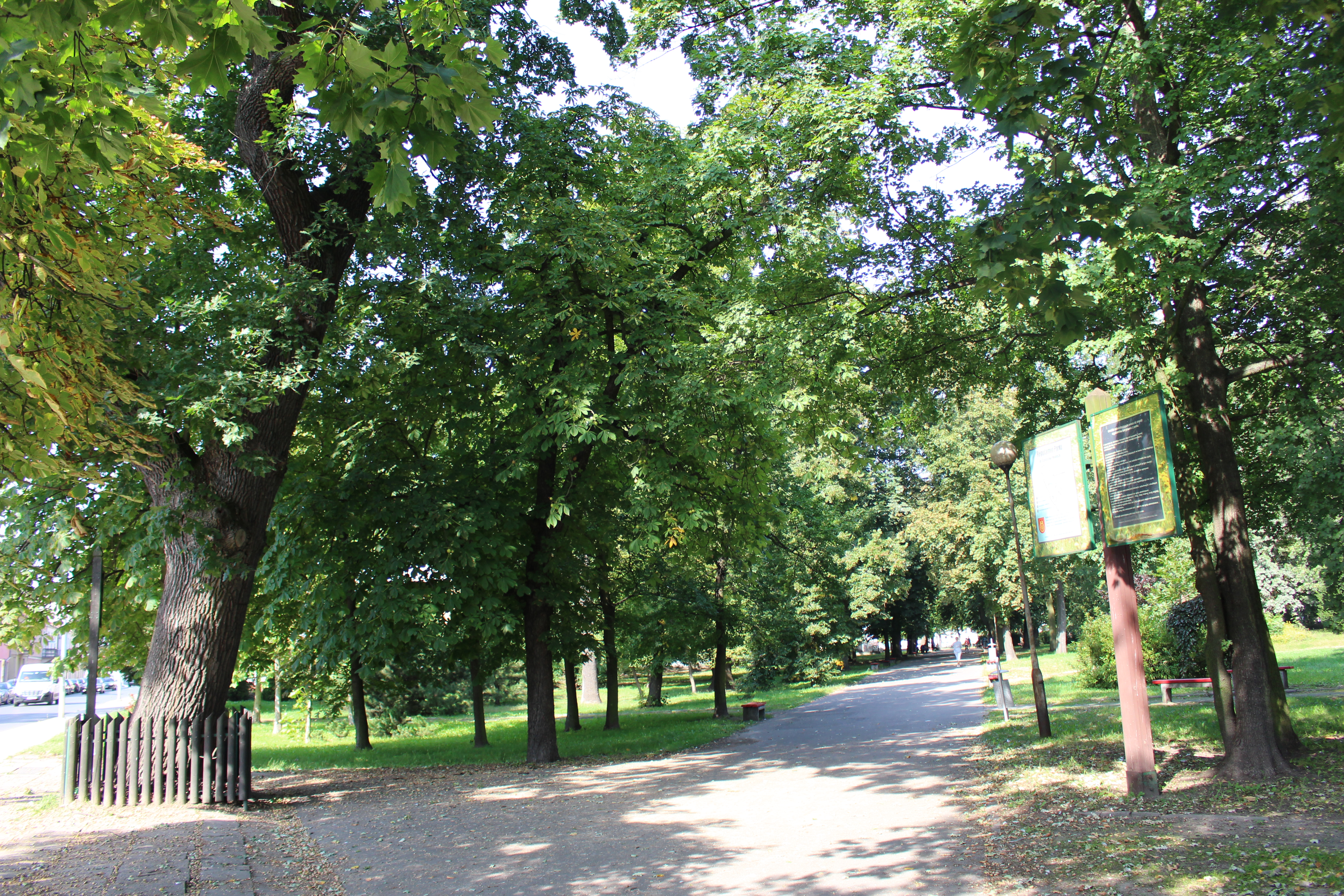 Zdjęcie przedstawia Park Moniuszki w Kole.
