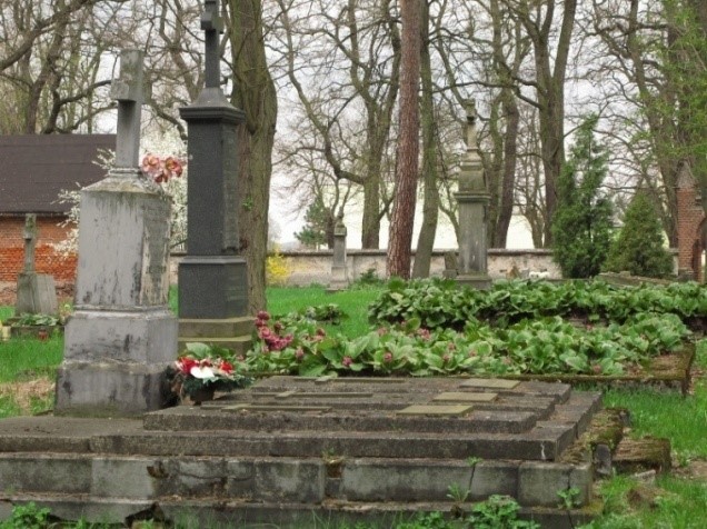 Zdjęcie przedstawia mogiły na Cmentarzu Ewangelicko-Augsburskim.