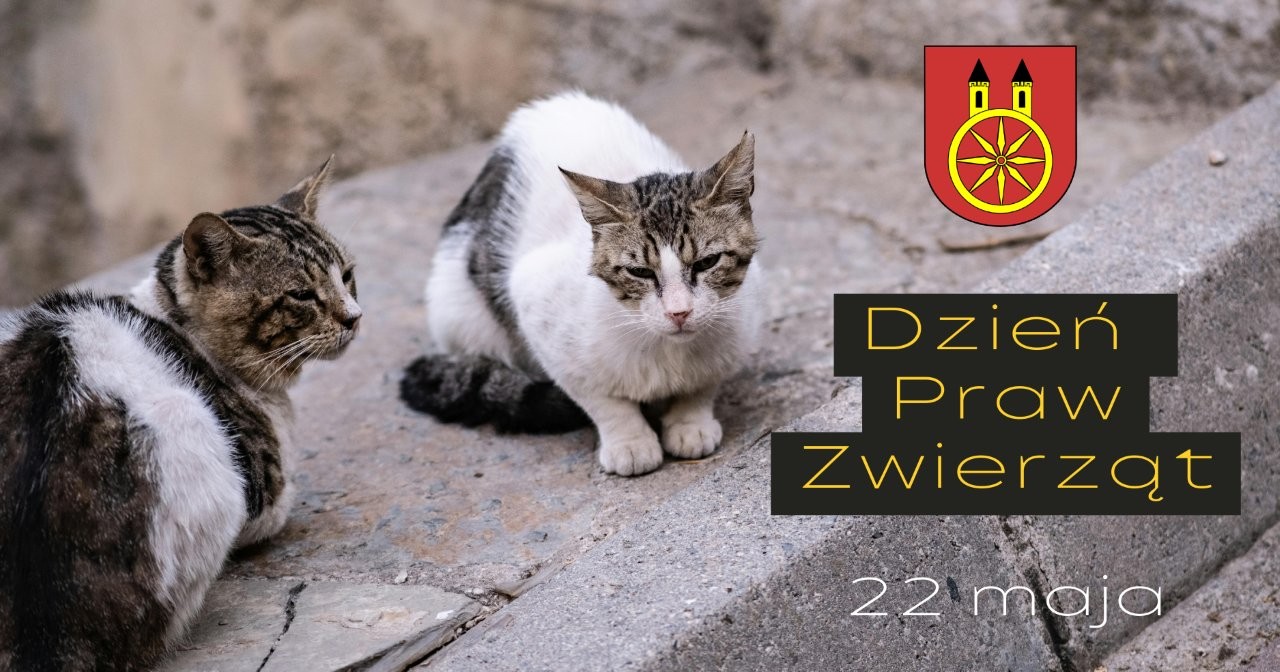Na grafice widać dwa szaro-białe koty siedzące na betonowym chodniku. Po prawej stronie umieszczono herb miasta oraz napis „Dzień Praw Zwierząt – 22 maja”, podkreślający troskę i szacunek wobec zwierząt.