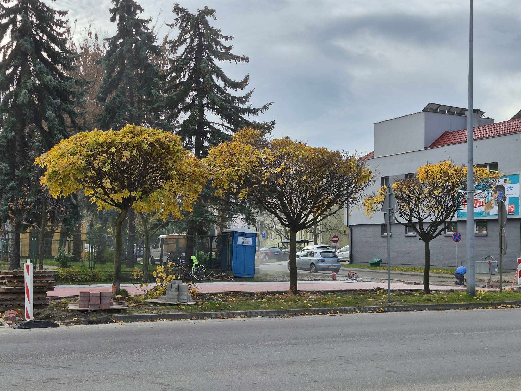 Zdjęcie przedstawia ulicę z rzędem drzew o żółtych liściach, obok których trwa remont chodnika. W tle widać budynki, samochody i przenośną toaletę.