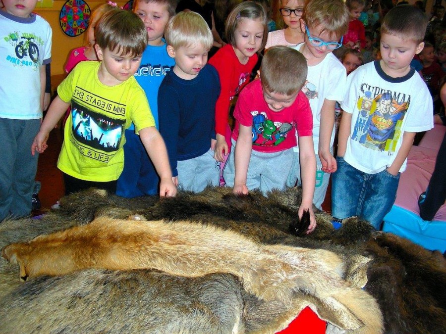 O zwierzętach inaczej, czyli co to jest „suknia, parostki i kwiatek”
