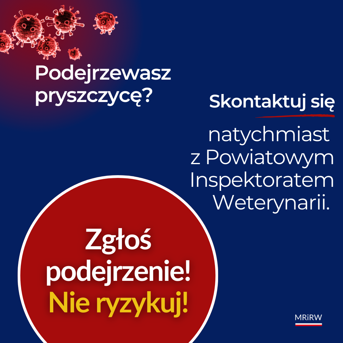 Infografika ostrzega przed pryszczycą i zachęca do natychmiastowego zgłoszenia podejrzenia choroby do Powiatowego Inspektoratu Weterynarii. Hasło: „Zgłoś podejrzenie! Nie ryzykuj!”.