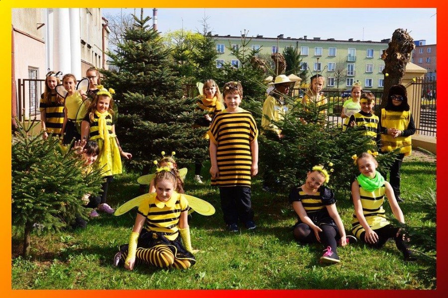 Akademia Przyjaciół Pszczół w "trójce"