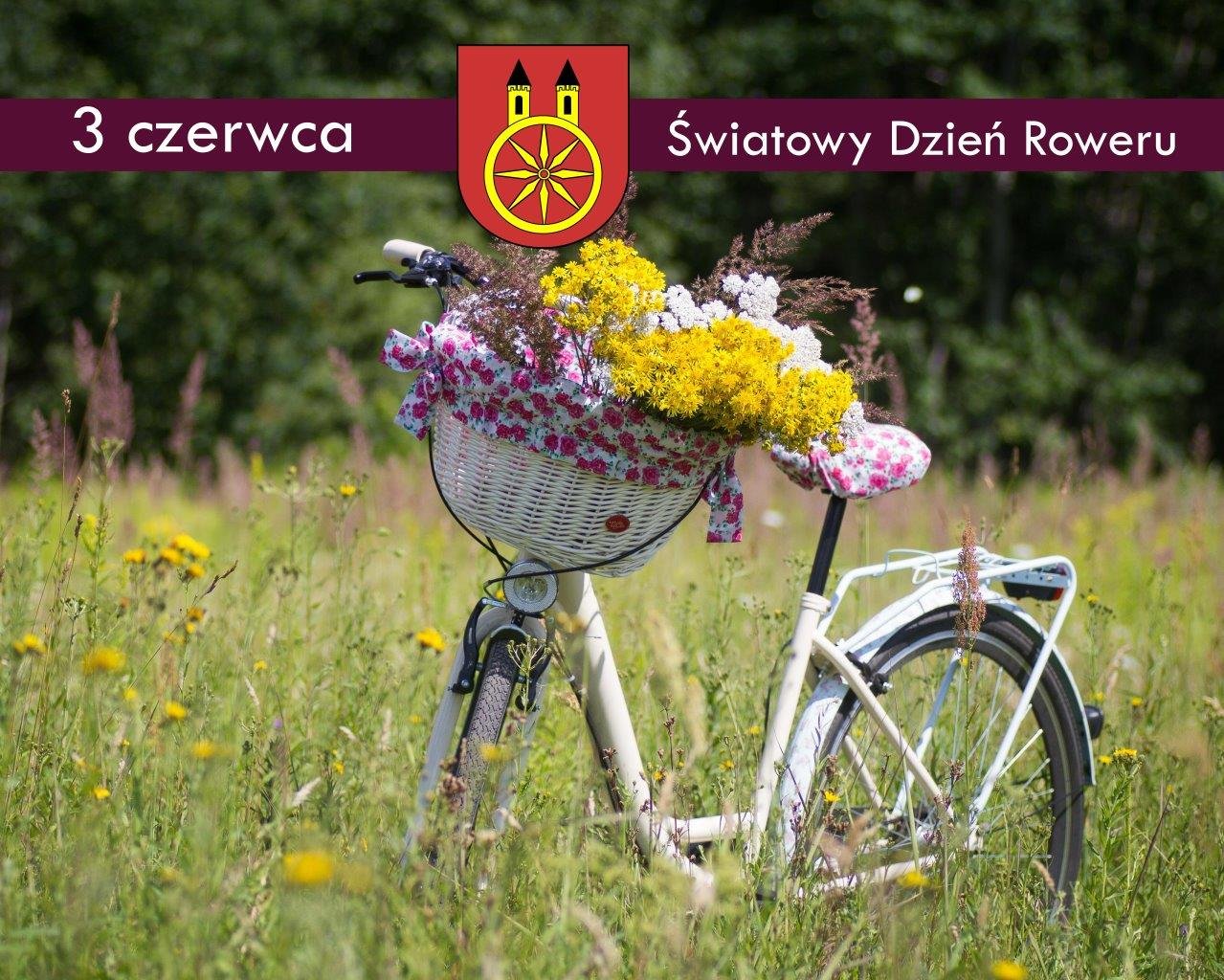 Brak zdjęcia.