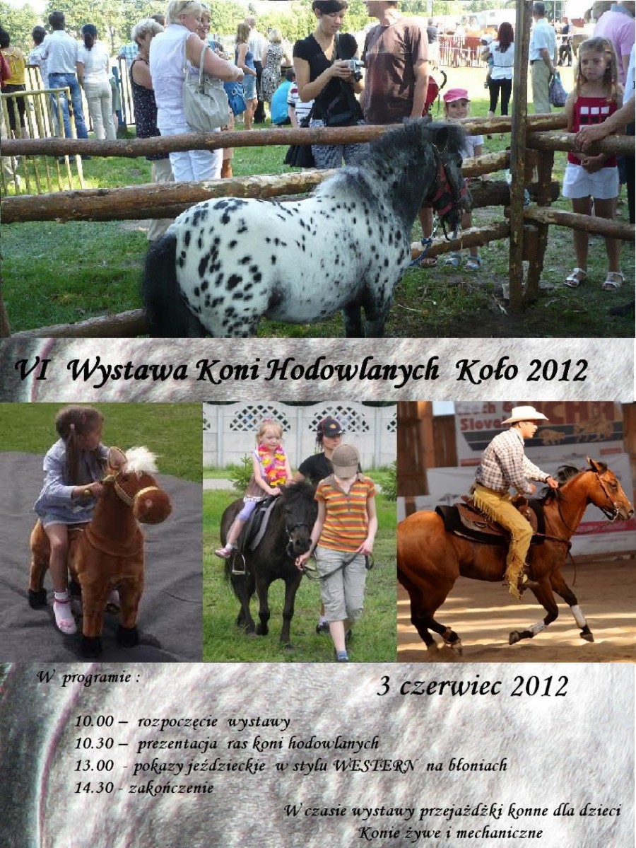 Regionalna wystawa koni hodowlanych