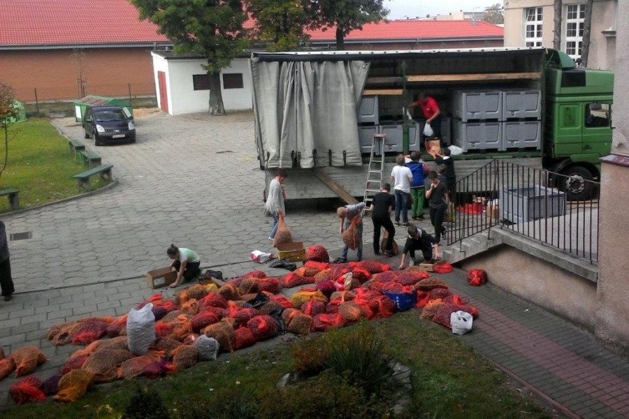 Kasztanobranie zakończone, młodzi zebrali 1698 kg surowca