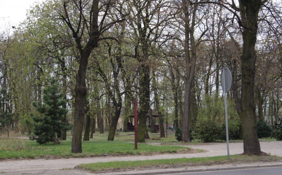 Kolska zieleń pod kontrolą