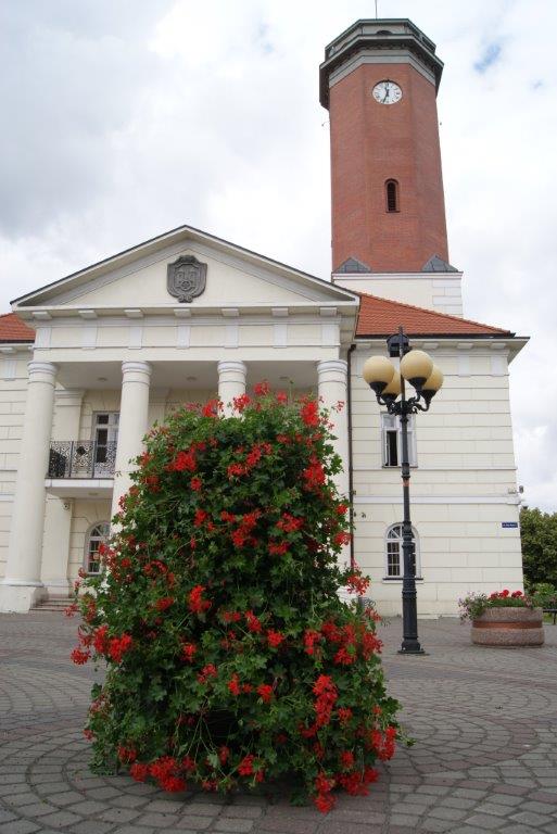 Piękne kaskady kwiatowe pojawiły się przed kolskim ratuszem