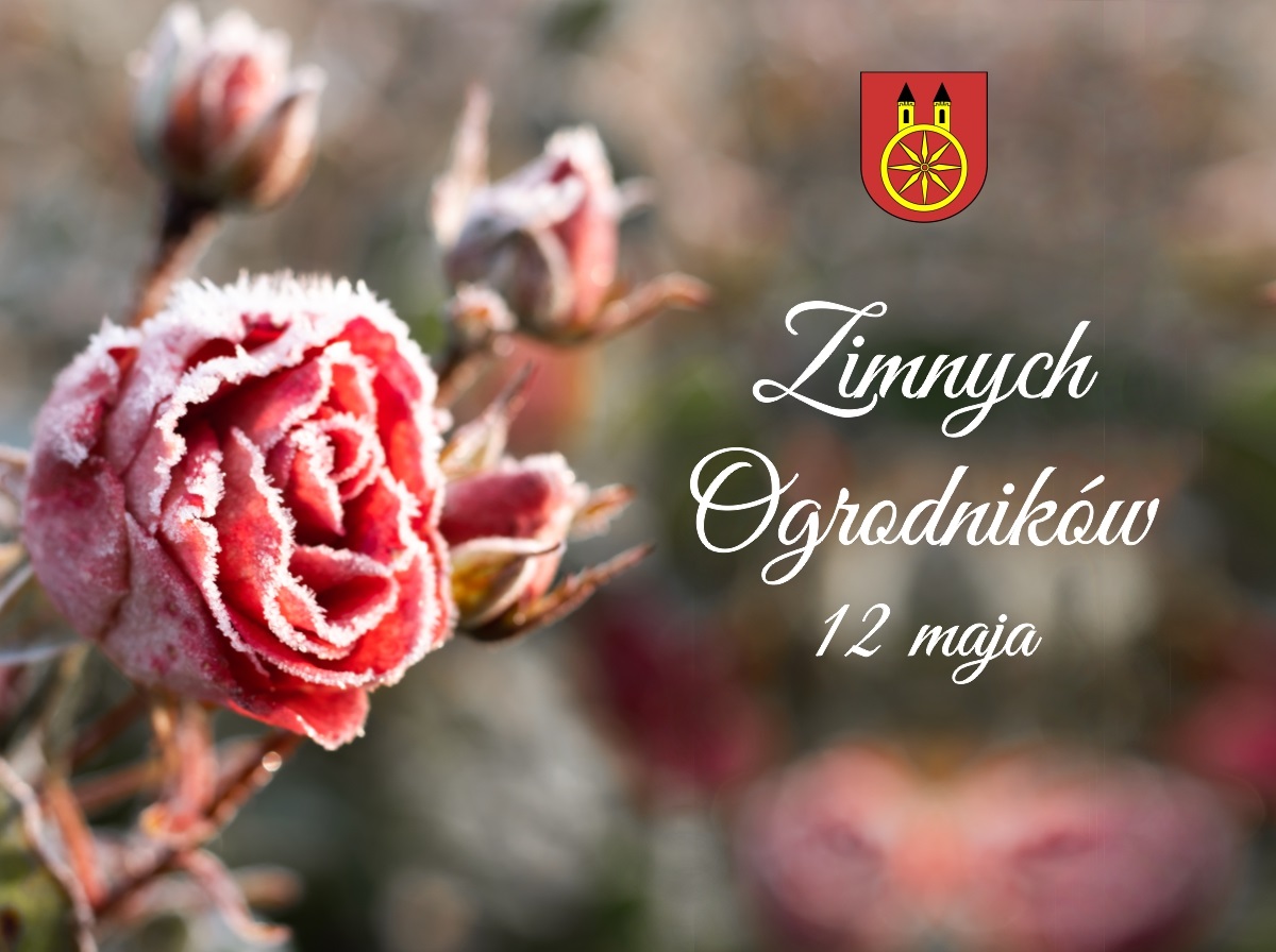 Plansza 12 MAJA Dzień Zimnych ogrodników, tekst pod planszą