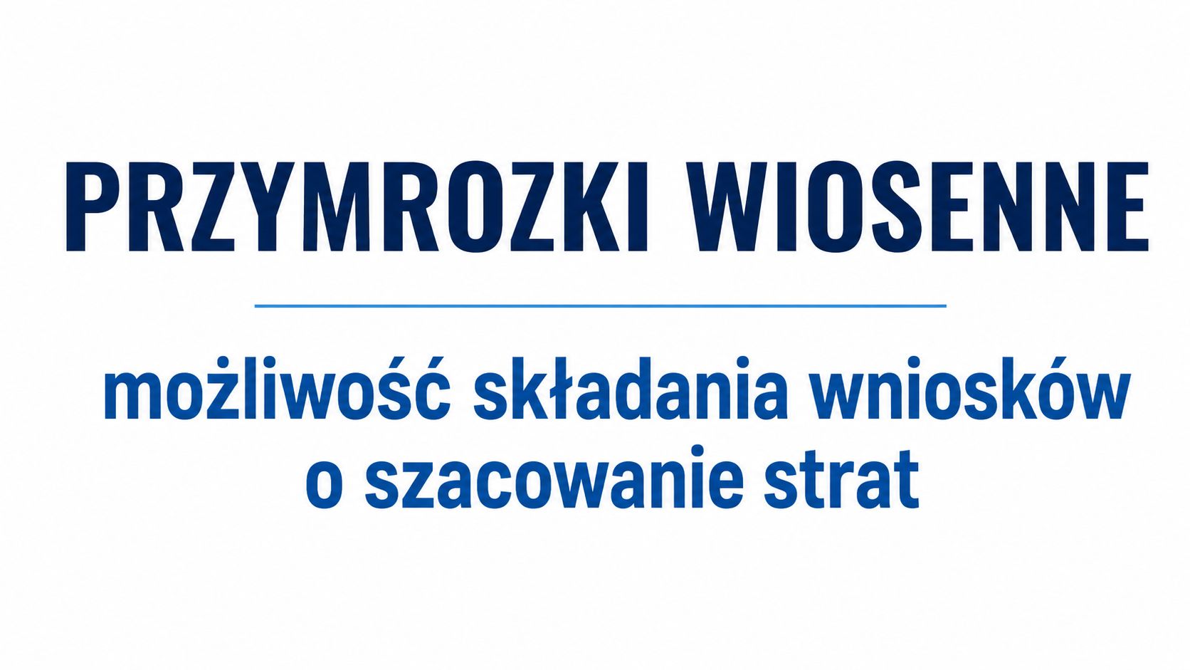 Brak zdjęcia.
