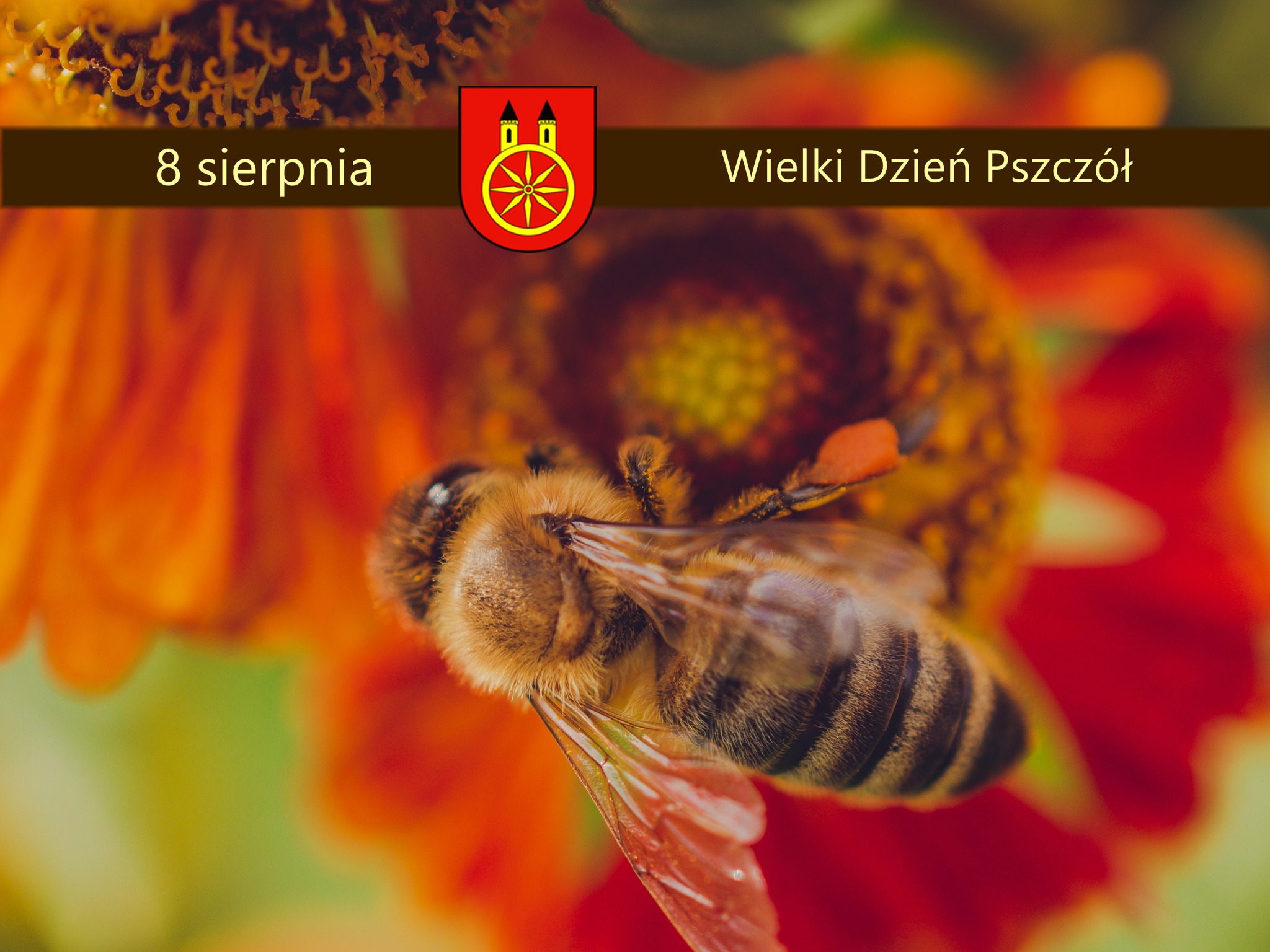 Plansza - 8 SIERPNIA Wielki dzień Pszczół, treść życzeń pod planszą.