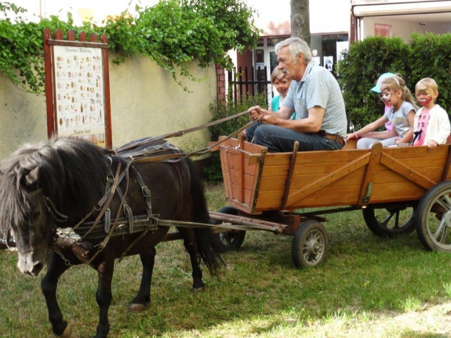 Urodziny Czerwonego Kapturka – festyn w PM 3