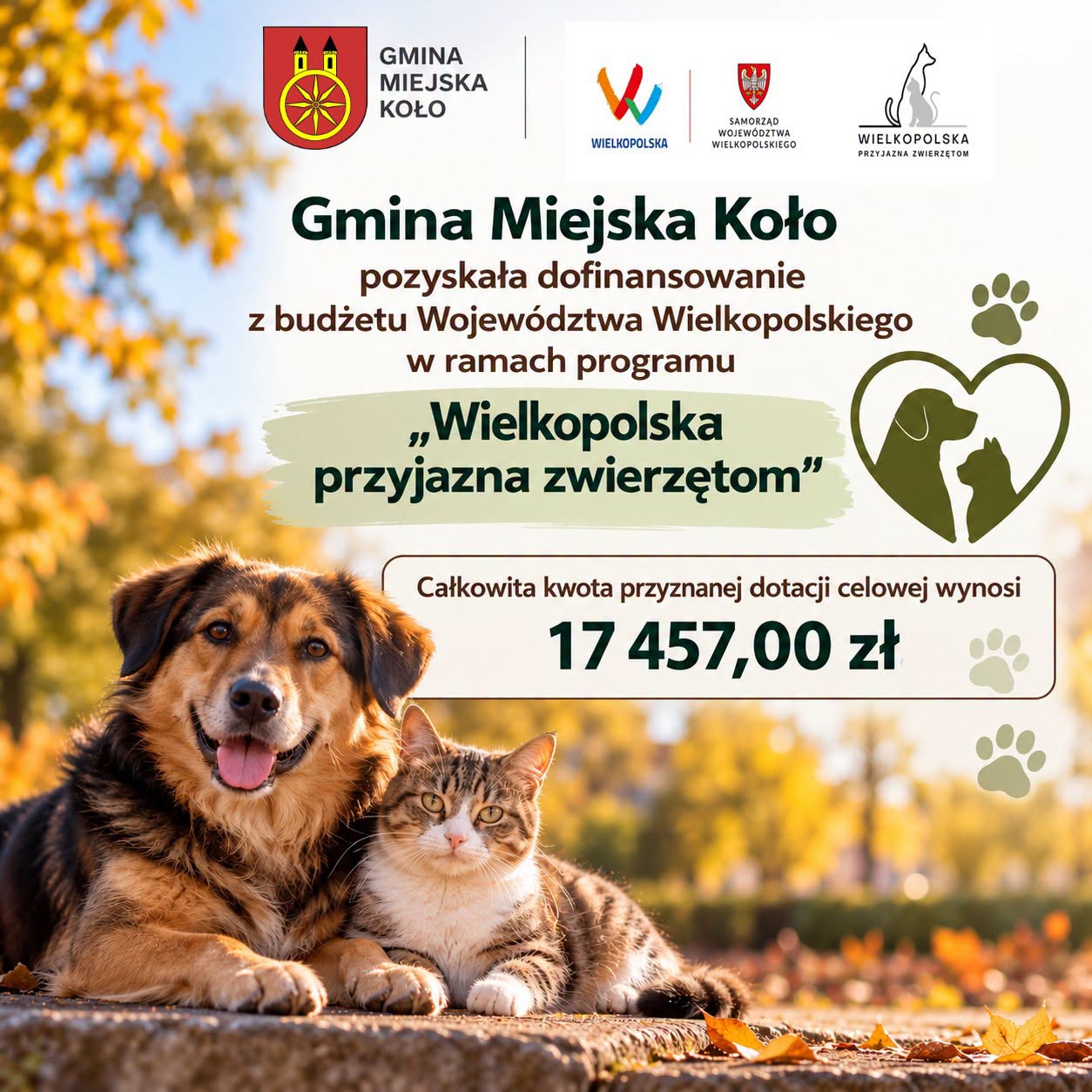 Brak zdjęcia