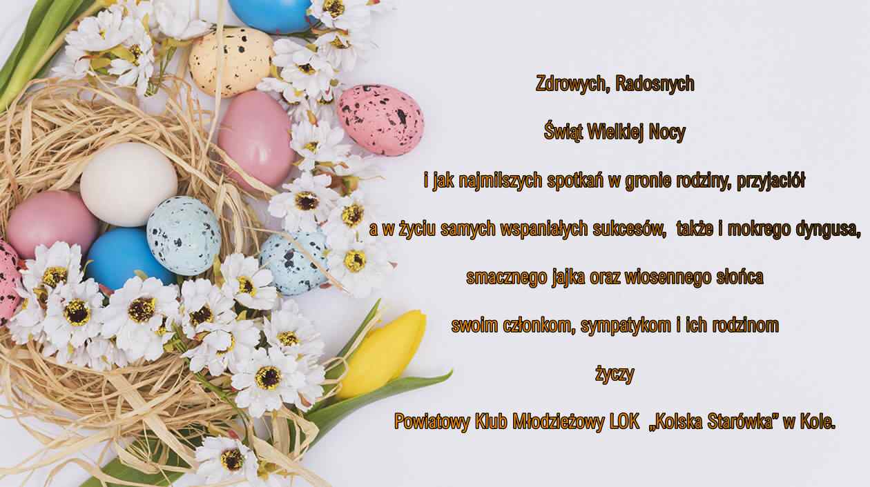 Brak zdjęcia.