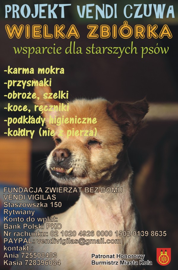Pomóż czworonożnym towarzyszom i weź udział w wielkiej zbiórce!