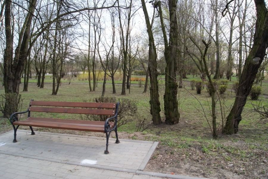 Rozwój terenów zielonych w Kole
