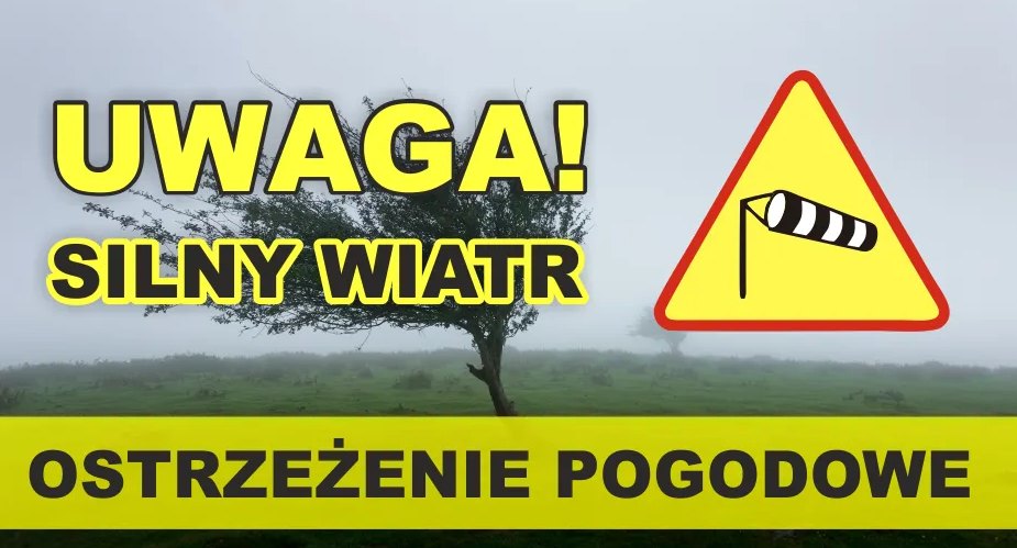 Brak zdjęcia.