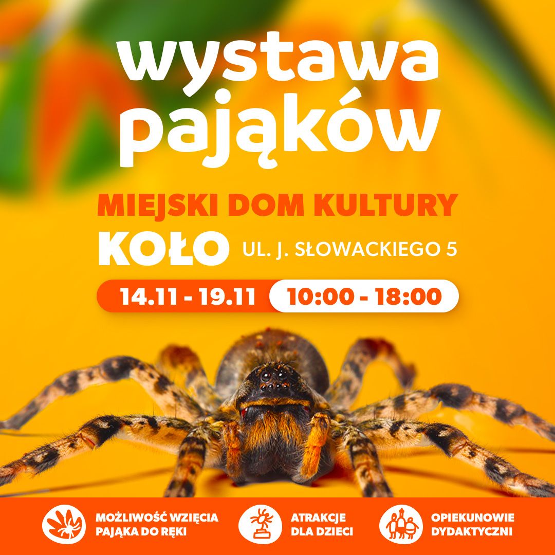 Plakat informujący o Wystawie Pająków. Treść plakatu poniżej w artykule.