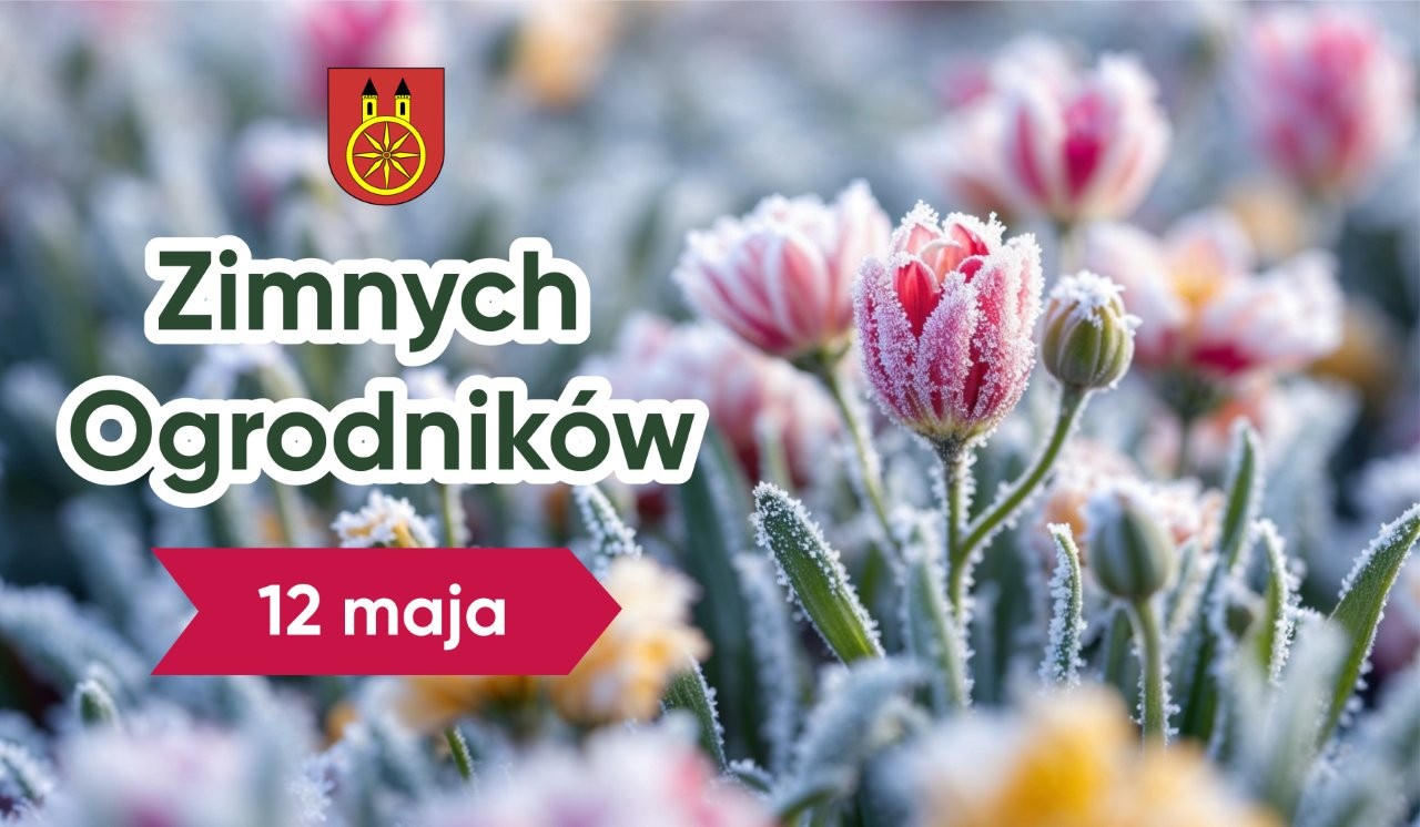 Zdjęcie przedstawia młode pąki kwiatowe i zielone liście pokryte warstwą szronu, co sugeruje wiosenne przymrozki. Tło jest rozmyte, co podkreśla delikatność roślin i kontrastuje z białą warstwą lodu.