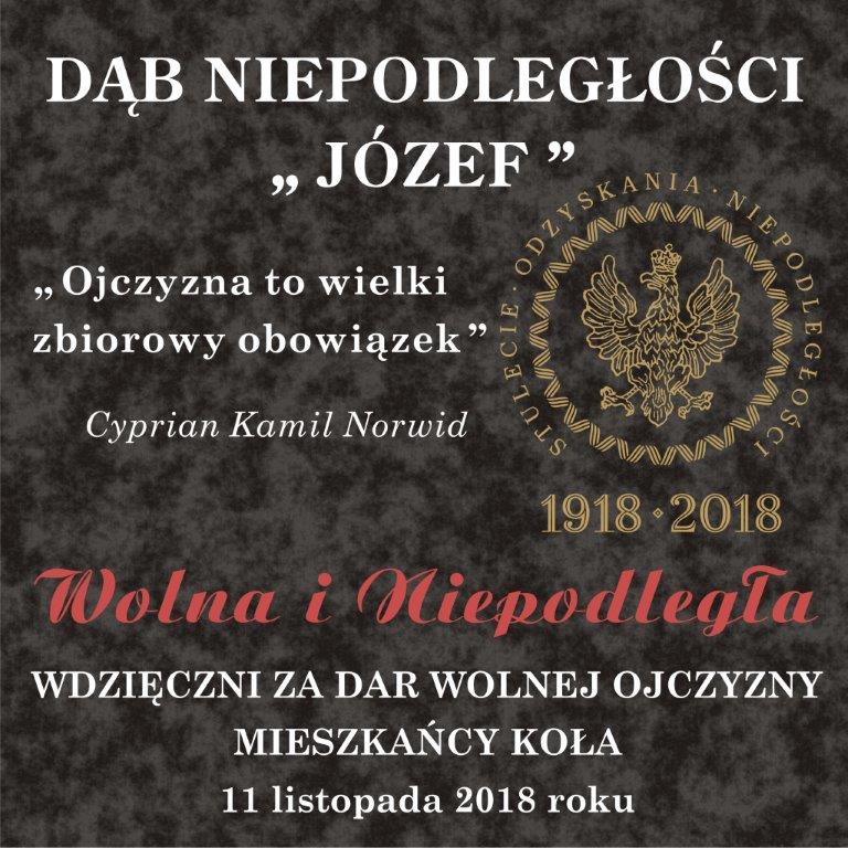 Dąb Niepodległości "Józef" zostanie posadzony na kolskiej Starówce