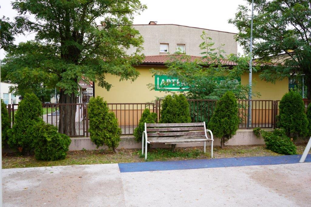 Zniszczone tuje przy placu zabaw obok Szkoły Podstawowej nr 3 w Kole