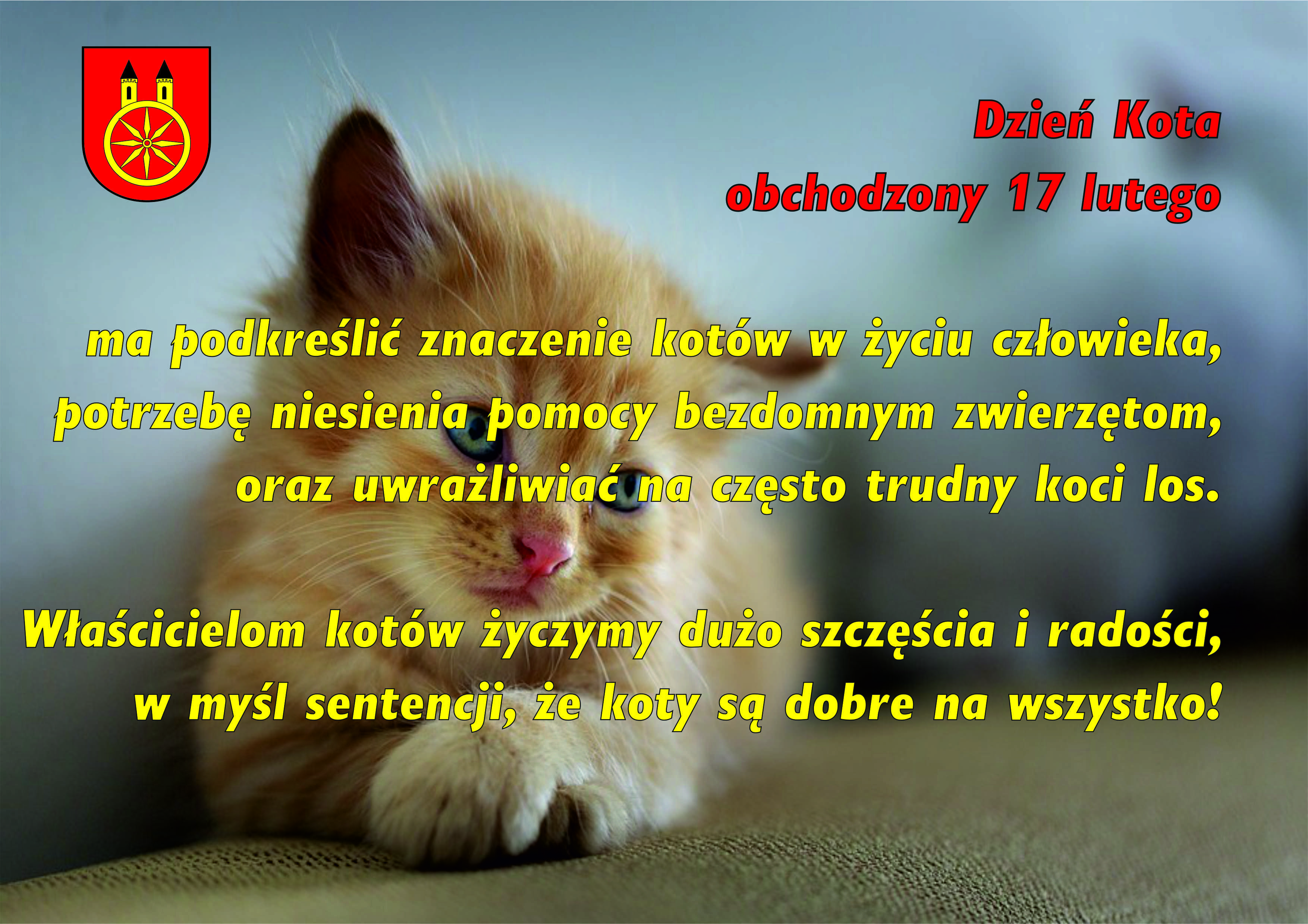 Zdjęcie przedstawia małego leżącego kota.