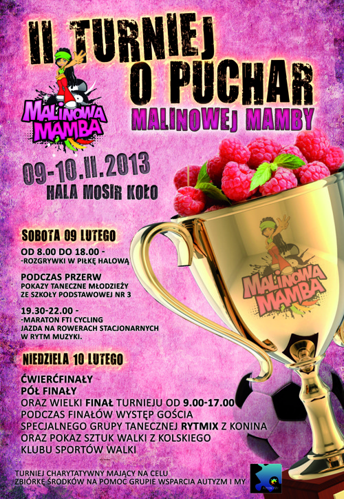 II Turniej o Puchar Malinowej Mamby