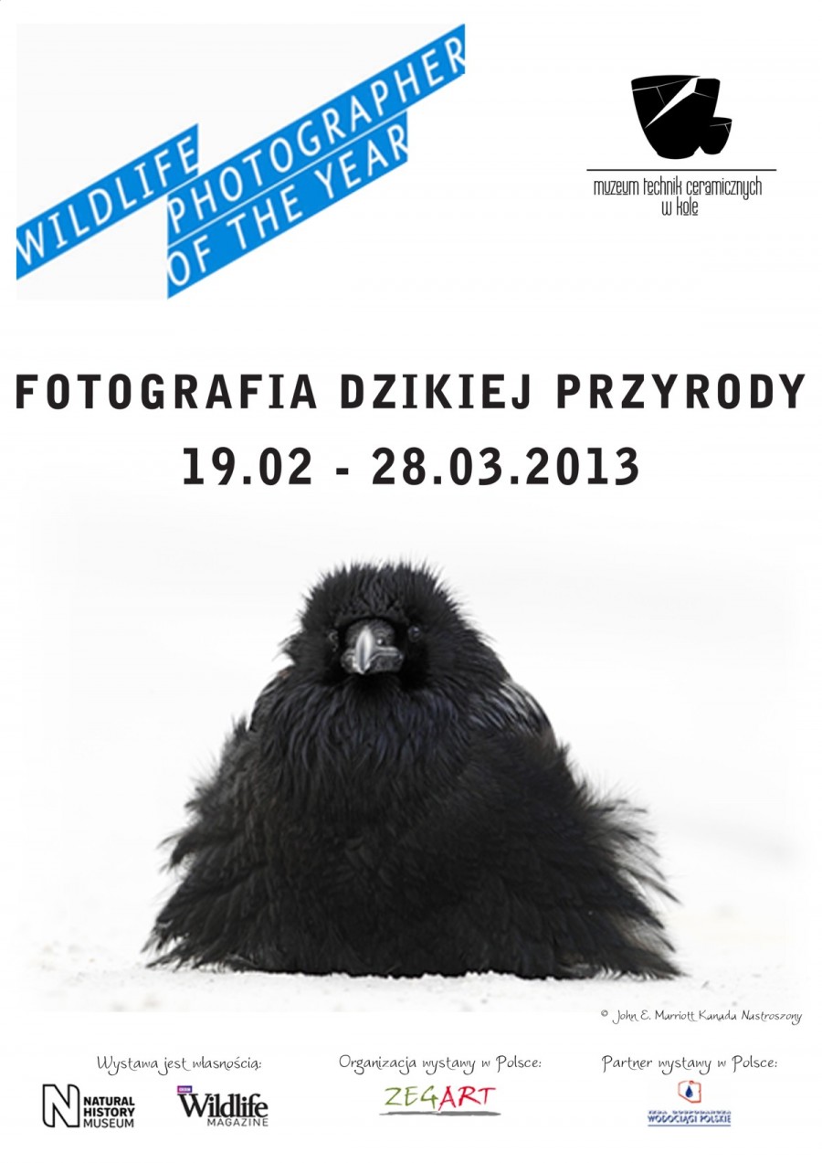 Wernisaż wystawy „Fotografia dzikiej przyrody”