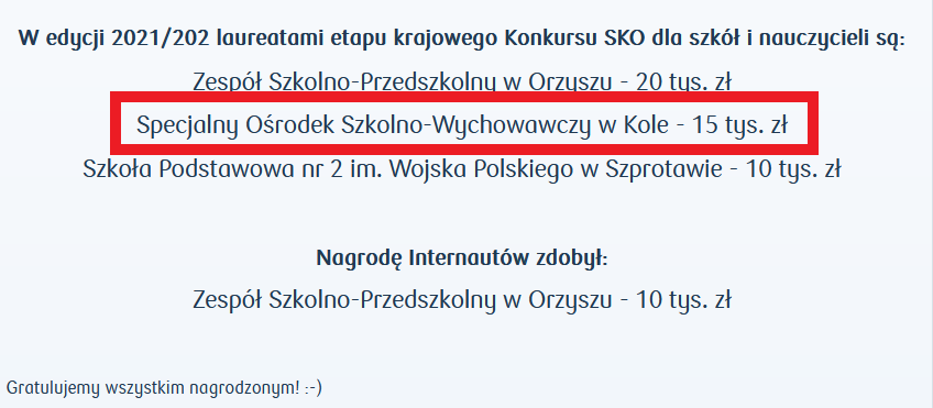 Print Screen ogólnopolskiej strony internetowej SKO