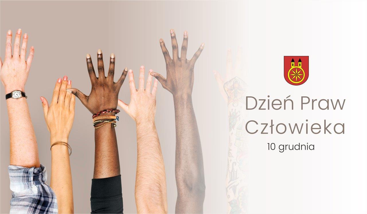 Brak zdjęcia.
