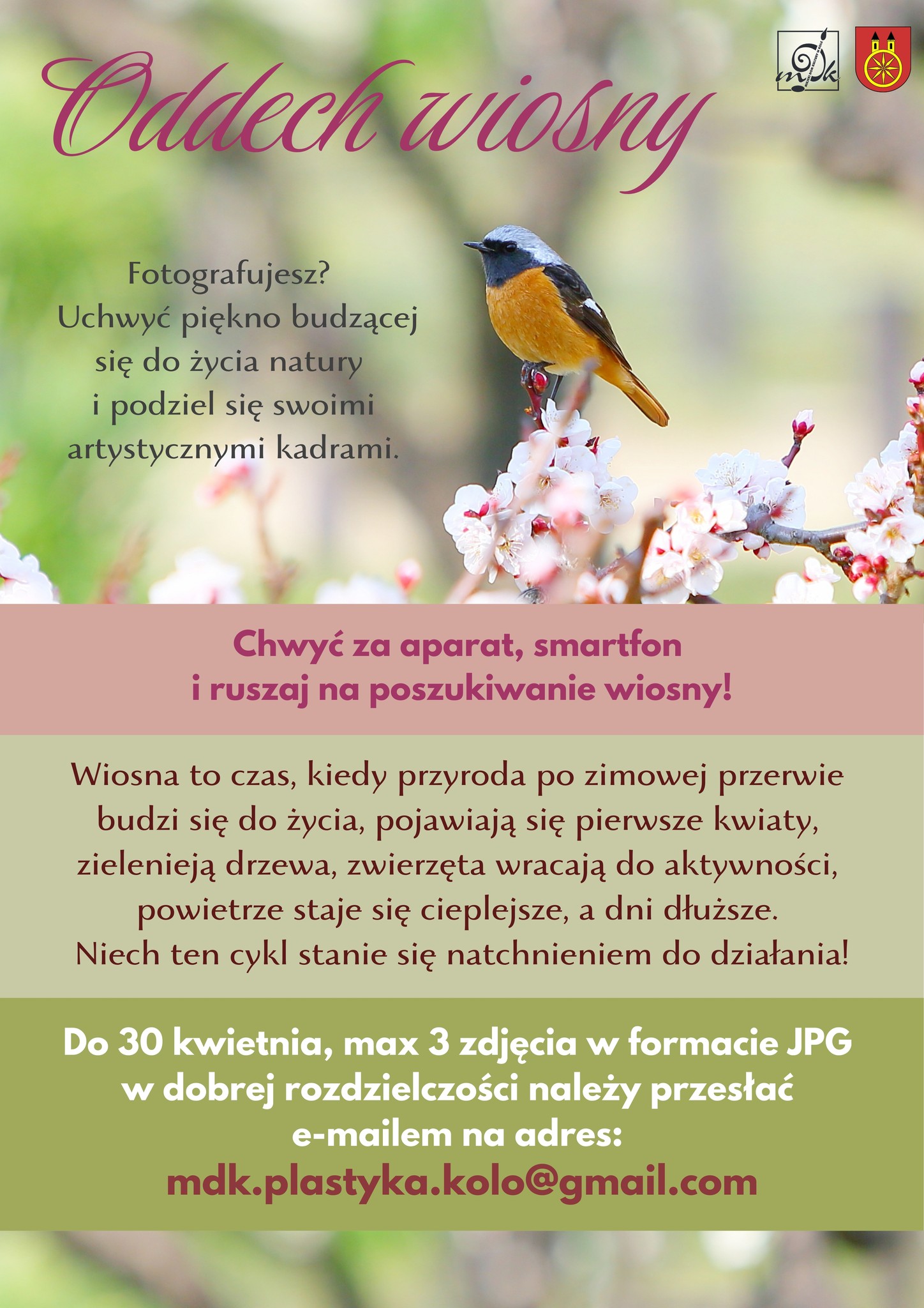 Plakat przedstawia wiosenną scenerię z ptakiem siedzącym na gałęzi kwitnącego drzewa. Tło jest rozmyte, w zielonych i beżowych odcieniach, co podkreśla wiosenną atmosferę. Całość ma estetyczny i delikatny wygląd.
